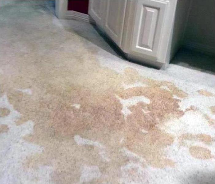 water stains all over a carpet in this house
