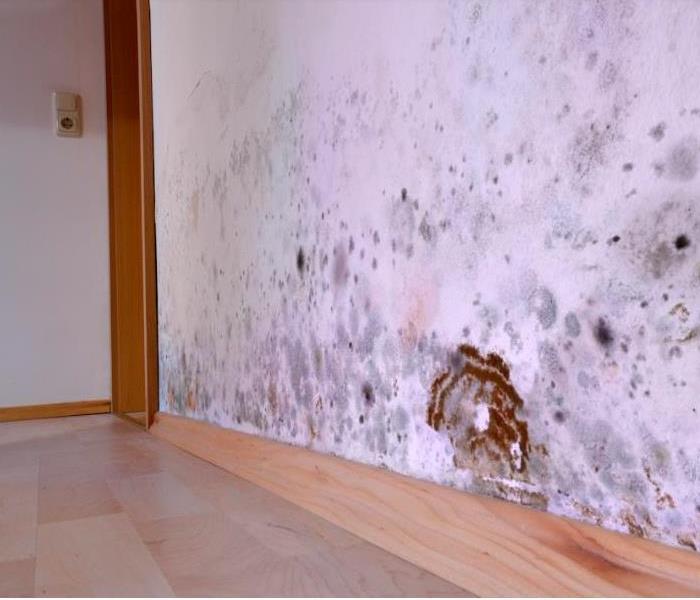 mold damaged residential room