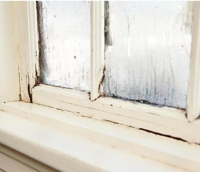 older window with wood rot, consendation