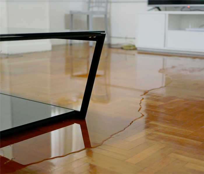 a puddle of water on the floor of a house